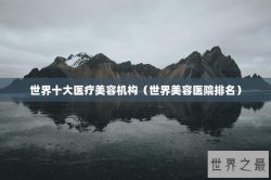 世界十大医疗美容机构（世界美容医院排名）