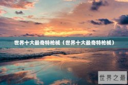 世界十大最奇特枪械（世界十大最奇特枪械）