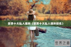 世界十大私人律所（世界十大私人律所排名）
