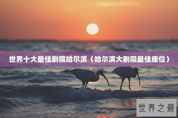 世界十大最佳剧院哈尔滨（哈尔滨大剧院最佳座位）