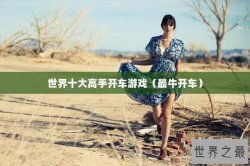 世界十大高手开车游戏（最牛开车）