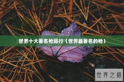 世界十大著名枪排行（世界最著名的枪）