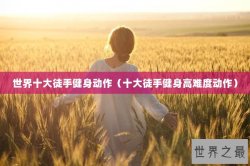 世界十大徒手健身动作（十大徒手健身高难度动作）