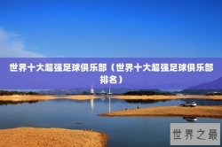 世界十大超强足球俱乐部（世界十大超强足球俱乐部排名）