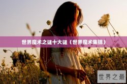 世界魔术之谜十大谜（世界魔术集锦）
