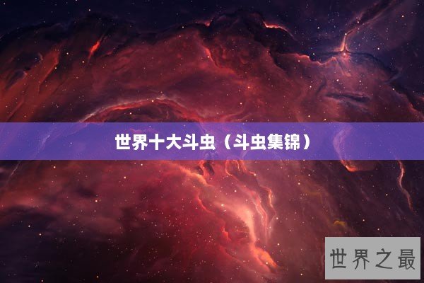 世界十大斗虫（斗虫集锦）