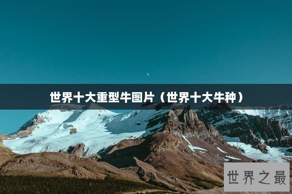 世界十大重型牛图片（世界十大牛种）
