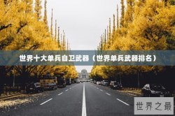 世界十大单兵自卫武器（世界单兵武器排名）