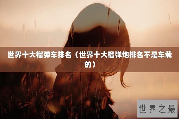 世界十大榴弹车排名（世界十大榴弹炮排名不是车载的）