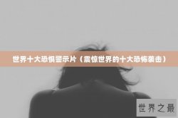 世界十大恐惧警示片（震惊世界的十大恐怖袭击）