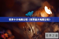 世界十大电商公司（世界最大电商公司）