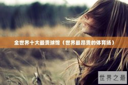 全世界十大最贵球馆（世界最昂贵的体育场）