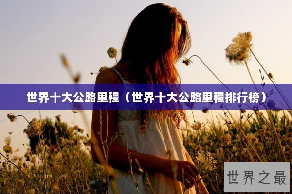 世界十大公路里程（世界十大公路里程排行榜）