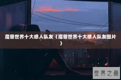 魔兽世界十大感人队友（魔兽世界十大感人队友图片）