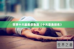 世界十大最美章鱼图（十大章鱼排名）