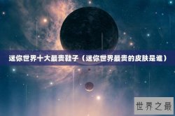 迷你世界十大最贵鞋子（迷你世界最贵的皮肤是谁）