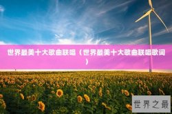 世界最美十大歌曲联唱（世界最美十大歌曲联唱歌词）