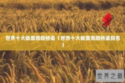 世界十大极度危险桥梁（世界十大极度危险桥梁排名）