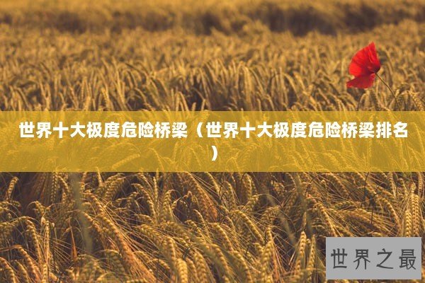 世界十大极度危险桥梁(世界十大极度危险桥梁排名) 世界十大极度危险桥梁(世界十大极度危险桥梁排名)