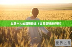 世界十大的氢弹排名（世界氢弹排行榜）