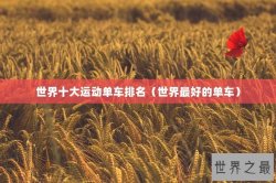 世界十大运动单车排名（世界最好的单车）
