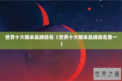 世界十大糯米品牌排名（世界十大糯米品牌排名第一）