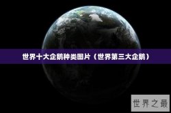 世界十大企鹅种类图片（世界第三大企鹅）