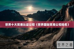 世界十大贸易认证公司（世界国际贸易公司排名）