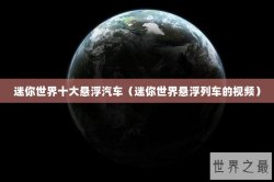 迷你世界十大悬浮汽车（迷你世界悬浮列车的视频）