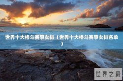 世界十大格斗赛事女排（世界十大格斗赛事女排名单）