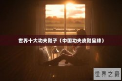 世界十大功夫鞋子（中国功夫皮鞋品牌）