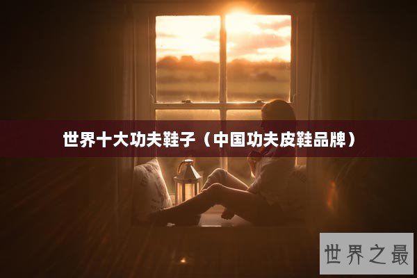 世界十大功夫鞋子(中国功夫皮鞋品牌) 世界十大功夫鞋子(中国功夫皮鞋品牌)