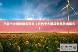 世界十大播放最多歌曲（世界十大播放最多歌曲排名）