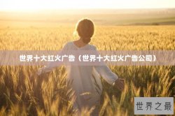 世界十大红火广告（世界十大红火广告公司）