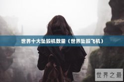 世界十大坠毁机数量（世界坠毁飞机）