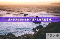 世界十大珍贵的木材（世界上名贵的木材）