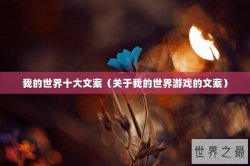 我的世界十大文案（关于我的世界游戏的文案）