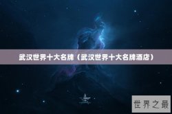 武汉世界十大名牌（武汉世界十大名牌酒店）