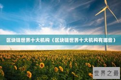 区块链世界十大机构（区块链世界十大机构有哪些）