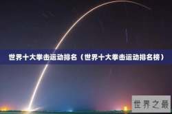 世界十大拳击运动排名（世界十大拳击运动排名榜）