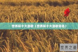 世界杯十大劲歌（世界杯十大劲歌排名）