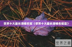 世界十大最长滑梯名称（世界十大最长滑梯名称是）