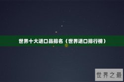 世界十大进口品排名（世界进口排行榜）