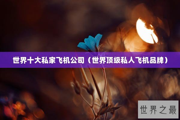 世界十大私家飞机公司（世界顶级私人飞机品牌）