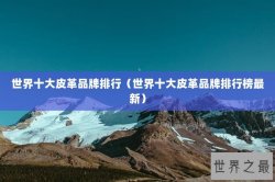 世界十大皮革品牌排行（世界十大皮革品牌排行榜最新）