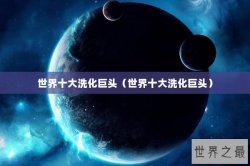 世界十大洗化巨头（世界十大洗化巨头）