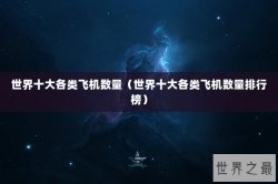 世界十大各类飞机数量（世界十大各类飞机数量排行榜）
