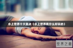 水上世界十大景点（水上世界有什么好玩的）
