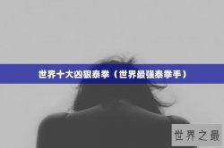 世界十大凶狠泰拳（世界最强泰拳手）