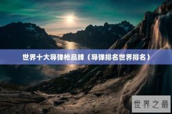世界十大导弹枪品牌（导弹排名世界排名）